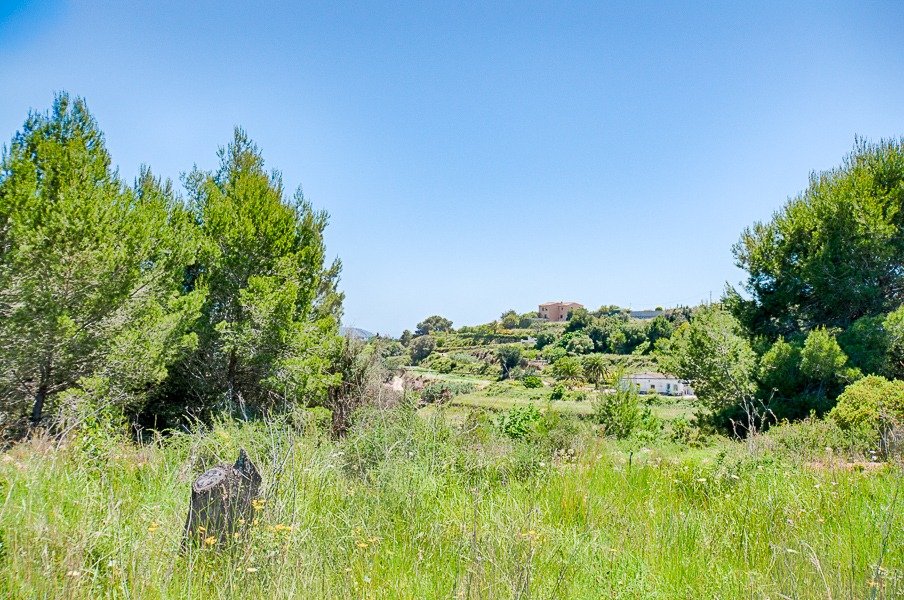 Plot for sale in Teulada
