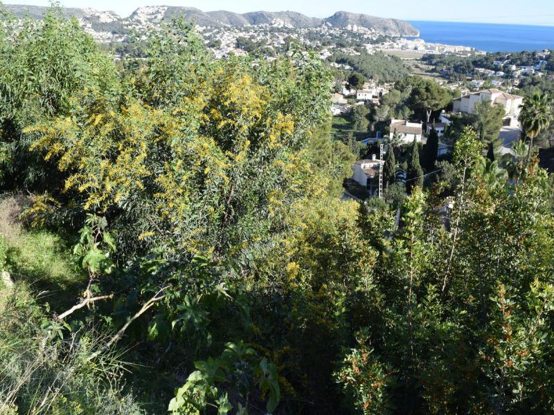 Plot for sale in Teulada